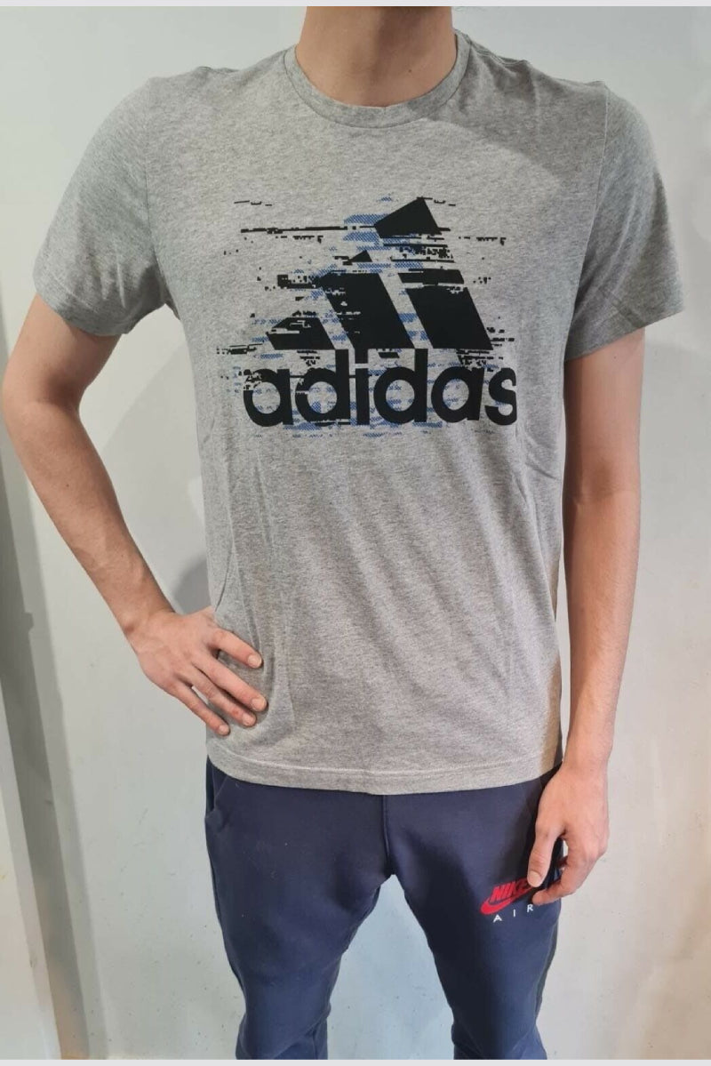 Adidas Men`s Graphic T-Shirt Grey