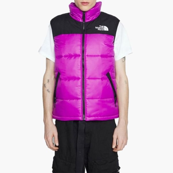THE NORTH FACE men's vest sleeveless New