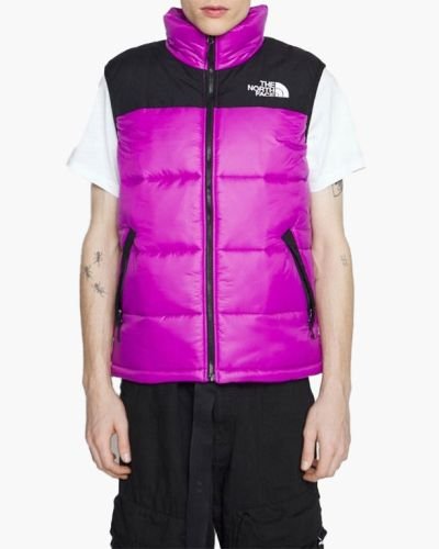 THE NORTH FACE men’s vest sleeveless New