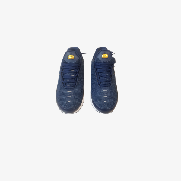 Nike Air Max Plus Tuned