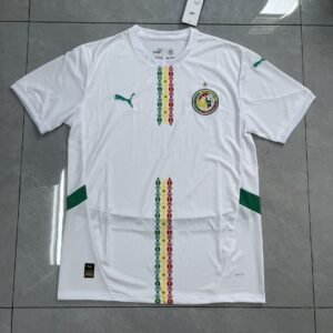 Senegal 2022 Tricolor Chest Stripe Jersey
