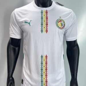 Senegal 2022 Tricolor Chest Stripe Jersey